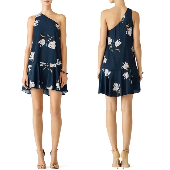 Amanda Uprichard Dresses & Skirts - Amanda Uprichard | Floral Painted Drop Waist Dress